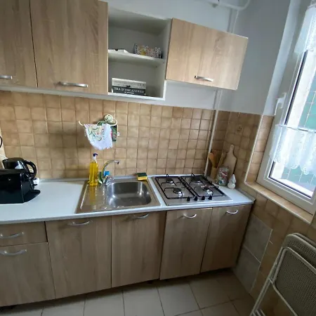 Iulius Town View شقة *