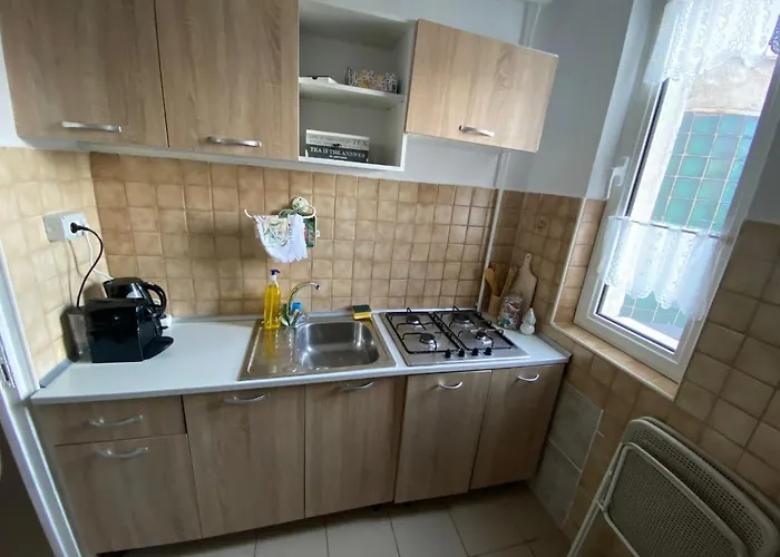 Iulius Town View شقة *